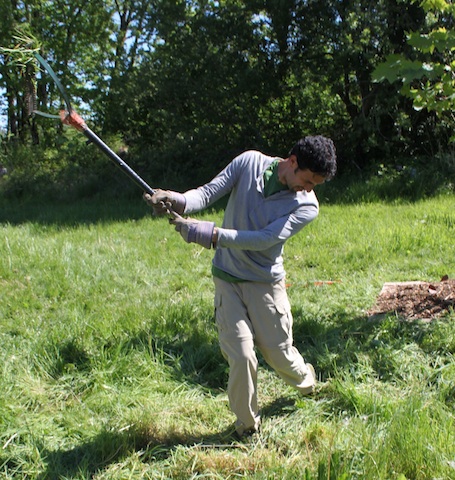 You can practice your golf swing while scything.