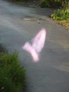 Pink light that looks like a bird?