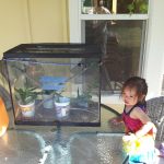 Kids love new pets!