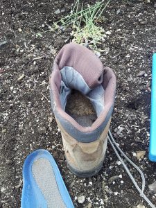 Yes, that's a wasp nest!