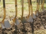 2006 Groundbreaking