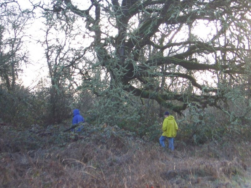 richard-and-bill-head-for-the-old-oak-tree