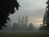 morning1