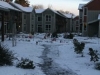 snow day!