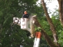 2012  Tree Trimming