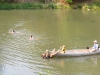 Wonderful warm weather for boating and swimming...