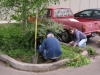 WeedingTheParkingLotIslands