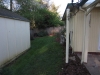 Back Yard Shed